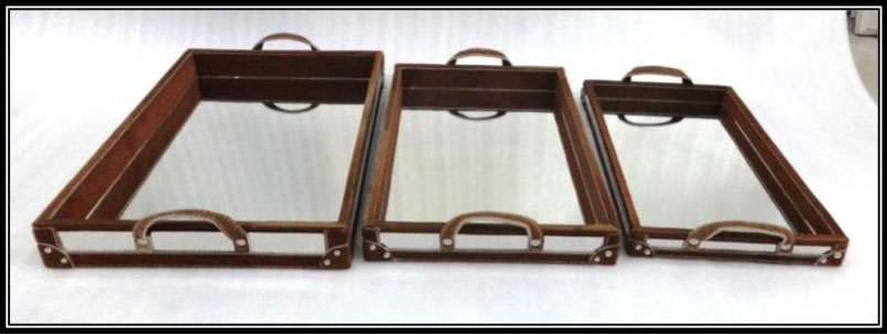 Tan hair on border with SS and Mirror Tray 